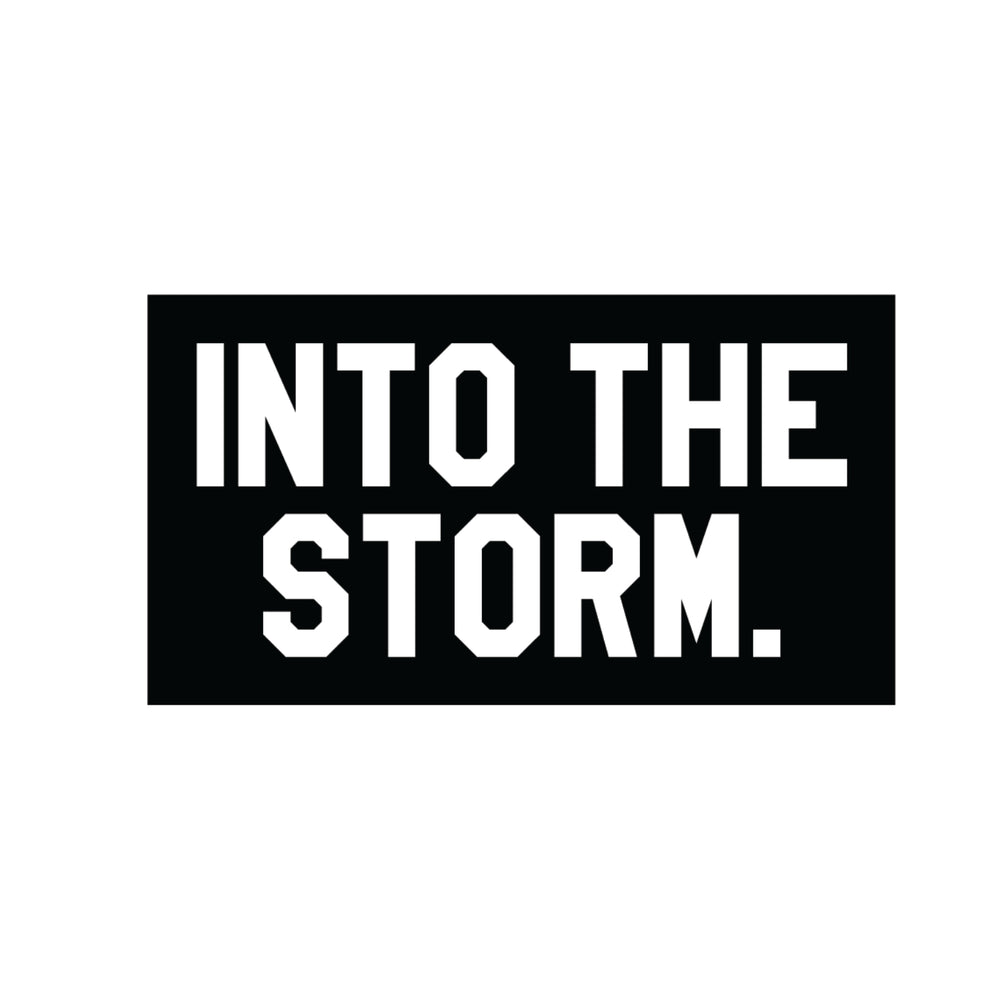 INTO THE STORM Page 2 Froning Farms