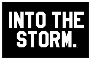 
                  
                    Into The Storm.  Patch // Black
                  
                